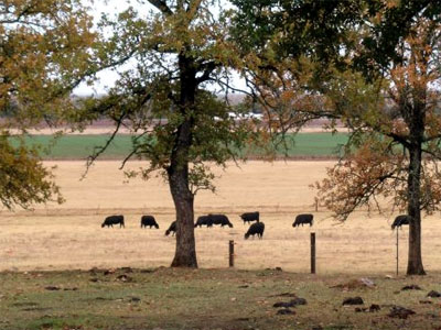 Windy Bar Ranch